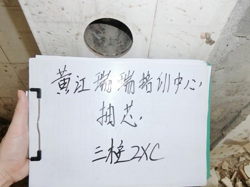 東莞市瑞瑞培訓中心房屋安全鑒定項目